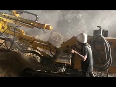 확장 가능한 굴착 팔 광업 및 건설 장비 중량 용도 응용 프로그램